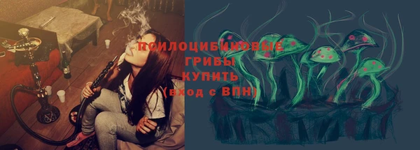 трава Армянск